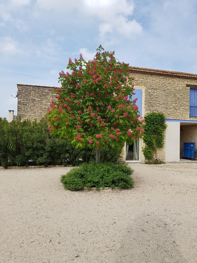 La Pastorale Bed & Breakfast Lagnes Exterior photo